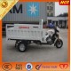 Cargo Passenger Electric 3 Wheel Motorcycle Tricycle