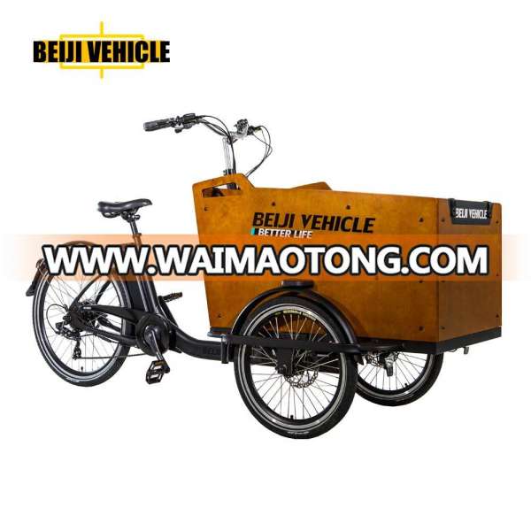 Beiji new model three wheel electric cargo bike with classic design